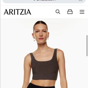 Aritizia Babaton tank (red/brown color in pic)